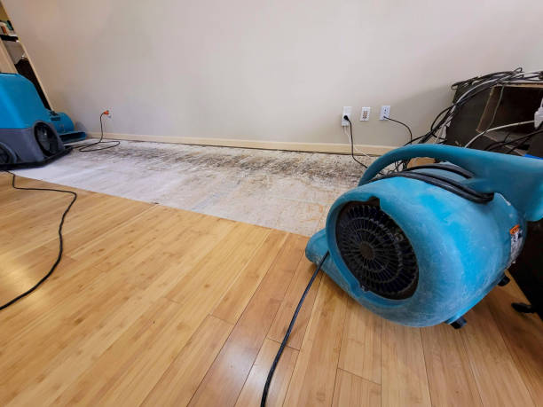 Reliable Basement Flood Cleanup contractor in Hampton, IA by Hirex Water Damage