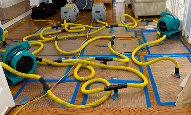 Professional Basement Flood Cleanup technician working in Hampton, IA